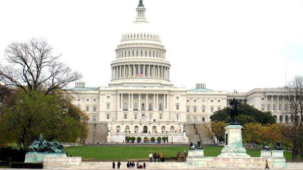 真疼!今早白宫贸易顾问疯狂打自己的脸